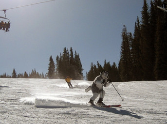 anthro clothed clothing costume duo_focus fursuit group male nature outside real ski skiing sky snow snowscape sport winter unknown_artist canid canine canis domestic_dog human mammal grandfathered_content source_request