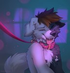 anthro bdsm black_body black_fur black_nose brown_hair collar fur hair male one_eye_closed petplay pink_collar pink_eyes roleplay solo tail teeth tongue tongue_out whiskers white_body white_fur white_tail hioshiru canid canine canis domestic_dog mammal 2024