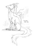 feral male quadruped simple_background solo tail text white_background soukosouji asian_mythology east_asian_mythology ghibli mythology spirited_away haku_(spirited_away) dragon eastern_dragon mythological_creature mythological_scalie scalie 2011 japanese_text monochrome sketch translation_request