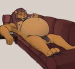 anthro belly big_belly bulge clothing deimos eyewear felid furniture glasses hi_res lion male mammal mature_anthro mature_male overweight overweight_anthro overweight_male pantherine reading resting sheppyduke sofa solo underwear