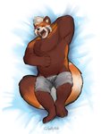 anthro belly clothing eyes_closed lying male overweight overweight_anthro overweight_male solo tired underwear lentejota6 ailurid mammal red_panda 2020 3:4 absurd_res hi_res