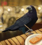 ambiguous_gender beak bokeh chopsticks claws fluffy food furniture plate smile solo table tail wings xcoreus avian bird corvid corvus_(genus) fish marine oscine passerine salmon salmonid_(fish) absurd_res hi_res