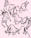 feral male pink_background simple_background solo 2n2n bovid bovine cattle mammal 2018 hi_res sketch sketch_page