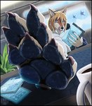 4_toes anthro bodily_fluids claws container cup feet female foot_focus hair licking licking_lips looking_at_viewer mug pawpads paws soles solo sweat sweaty_feet toe_claws toes tongue tongue_out raketh canid canine fox mammal hi_res