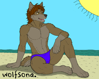 anthro beach claws clothing fur hair light light_beam looking_away male messy_hair multicolored_body multicolored_fur muscular pawpads relaxing sand sea shadow sitting sitting_on_ground smile solo speedo sun sunbathing sunbeam sunlight swimwear tail two_tone_body two_tone_fur water water_ripple yellow_eyes canid canine canis mammal wolf hi_res watermark