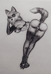 anthro anus ass_up breast_squish breasts butt butt_bump butt_focus clothing female foot_rub genitals lingerie nude paws paws_in_socks penetration pussy raised_tail solo squish tail alex_dellamortex canid canine fox mammal hi_res sketch