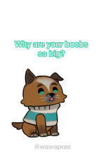 amused animated anthro arm_wrapping arm_wraps blue_eyes bodily_fluids brown_body brown_fur canid canine canis cape cheek_tuft chihuahua clothing crossed_arms curious death_(puss_in_boots) dialogue domestic_cat domestic_dog dreamworks ellipsis eyes_closed facial_markings facial_tuft felid feline felis fur fuzzy green_eyes grey_body grey_fur group hat head_markings headgear headwear laugh looking_at_another male mammal markings mask_(marking) meme neck_tuft open_mouth orange_body orange_fur perrito_(puss_in_boots) puss_in_boots_(character) puss_in_boots_(dreamworks) question red_eyes simple_background sitting sound sound_warning standing sweat tears text toy_dog trio tuft wawapras webm wheeze whiskers white_background wolf wrapped_arms wraps wrist_wraps