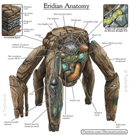 5_legs ambiguous_gender anatomical_diagram anatomical_study anatomy anatomy_chart chart cross_section cutaway feral front_view joints multi_leg multi_limb organs patreon_username pentaped rock solo species_information stomach text twitter_handle x-ray_view christopher_stoll metro-goldwyn-mayer project_hail_mary alien elemental_creature eridian_(project_hail_mary) mineral_fauna rock_creature artist_name biological_illustration english_text full-length_portrait hi_res portrait species_name technical_illustration url