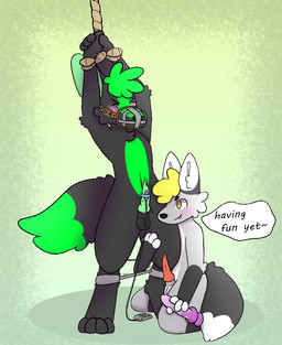 anthro balls bdsm bondage bound duo erection fur genitals hair hands_tied male male/male muzzle_(object) muzzled nude penis sex sex_toy simple_background smile teasing vibrator wire_basket_muzzle box_of_floof lewps meebfen canid canine canis fennec_fox fox jackal mammal true_fox