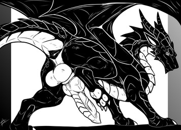 anus balls feral flirting genitals knot knotted_penis looking_back male penis presenting raised_leg solo azurian mythology dragon mythological_creature mythological_scalie scalie absurd_res hi_res monochrome