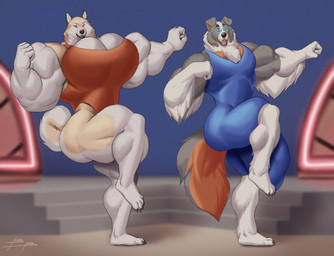 4_toes 5_fingers aerobics anthro arm_tuft biceps big_breasts big_bulge big_muscles biped black_claws black_eyebrows black_lips black_nose black_toe_claws blue_clothing blue_eyewear blue_glasses blue_leotard blurred_background breasts brown_eyes bulge butt calf_muscles chest_tuft claws clothed clothed_anthro clothed_female clothed_male clothing countershade_arms countershade_face countershade_fur countershade_legs countershade_neck countershade_tail countershade_torso countershading curled_tail dancing deltoids detailed_background duo eyebrows eyewear feet female female_anthro fingers fist floppy_ears folded_ears fur glasses grey_body grey_ears grey_fur huge_breasts huge_bulge huge_muscles humanoid_hands hyper hyper_bulge hyper_muscles leg_tuft leotard lips looking_at_viewer male male_anthro multicolored_body multicolored_fur muscular muscular_anthro muscular_arms muscular_female muscular_male muscular_thighs on_one_leg open_mouth open_smile orange_body orange_fur orange_inner_ear pecs pince-nez pink_tongue plantigrade pose quads raised_leg red_clothing red_leotard round_glasses smile smiling_at_viewer stairs standing tail tan_body tan_fur teeth toe_claws toes tongue triceps tuft white_body white_countershading white_fur white_inner_ear blueblaster michelle_(blueblaster) ross_(blueblaster) australian_shepherd canid canine canis domestic_dog herding_dog husky mammal nordic_sled_dog pastoral_dog sheepdog spitz absurd_res digital_media_(artwork) hi_res shaded signature