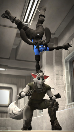 accessory anthro black_body black_scales black_sclera blue_body blue_eyes blue_fur bottomwear camo camo_bottomwear camo_clothing camo_pants camo_print clothing facial_scar female fur grey_eyes handstand headband pants pattern_bottomwear pattern_clothing pattern_pants scales scar surprised tactical_gear white_body white_fur conditional_dnp domi3d domi_(domi3d) matvai_cross canid canine canis hybrid lagomorph leporid mammal rabbit wolf 3d_(artwork) 4k 9:16 absurd_res digital_media_(artwork) hi_res source_filmmaker_(artwork)