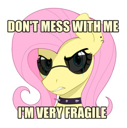 blue_eyes bodily_fluids caption collar ear_piercing eyewear female feral looking_at_viewer piercing simple_background solo spiked_collar spikes sunglasses tears white_background czu friendship_is_magic hasbro my_little_pony fluttershy_(mlp) equid equine mammal absurd_res hi_res
