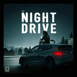 anthro black_body black_fur bottomwear car clothed clothed_male clothing electronics footwear forest fully_clothed fully_clothed_male fur headlight holding_object holding_phone hood_up hoodie male night phone plant shoes shorts sitting_on_car solo star tail text topwear tree vehicle d3mo felid mammal 2017 artist_name dated english_text hi_res