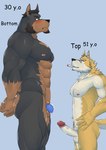 abs age_difference anthro aroused balls beard biceps blue_background blue_chastity_cage blue_eyes blush bodily_fluids brown_hair butt chastity_cage chastity_cage_only chastity_device chastity_device_only cigarette cigarette_in_mouth deltoids dominant dripping duo ear_tuft embarrassed erection eyewear eyewear_only facial_hair facing_each_other genital_fluids genitals glasses glasses_only goatee hair hand_on_hip hands_behind_back looking_at_another looking_at_partner male male/male manly mature_male muscular muscular_butt muscular_legs muscular_sub muscular_thighs mustache neck_tuft nipples nude object_in_mouth parade_rest pecs penis precum precum_drip pubes side_view sideburns simple_background size_difference small_top_big_bottom smoking smoking_cigarette standing_at_attention submissive triceps tuft wearing_chastity_cage wearing_chastity_device wearing_glasses white_hair chief_gilbert jack_(chief_gilbert) takeinu_okita_(chief_gilbert) canid canine canis dobermann domestic_dog mammal pinscher shiba_inu spitz 2025 hi_res