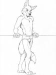 anthro briefs briefs_only bulge clothed clothing male simple_background solo topless underwear underwear_only white_background y-fronts cirruskitfox canid canine fox mammal black_and_white monochrome traditional_media_(artwork)