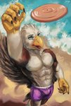 anthro beach beak brown_body brown_feathers bulge claws clothed clothing countershade_torso countershading feathers feet frisbee male outside sand sea seaside solo swimming_trunks swimwear talons toes topless topless_male water white_body white_feathers juiceps accipitrid accipitriform avian bird eagle hi_res