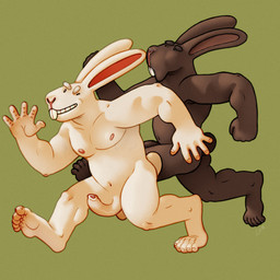 anthro brown_body brown_skin duo feet flaccid flapping_penis foreskin genitals humanoid_feet long_ears long_feet long_penis male male/male musclegut muscular muscular_male nipples pecs penis pink_nipples plantigrade running simple_background small_eyes soles white_body white_skin ravuer lagomorph leporid mammal rabbit 1:1 hi_res