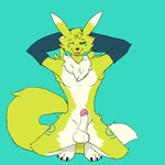 1:1 anthro balls bandai_namco canid chelfoxart clothing digimon digimon_(species) erection fur genitals gloves green_eyes handwear hi_res koda_the_renamon male mammal renamon solo winteranimosus yellow_body yellow_fur