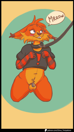 anthro armwear balls belly bite biting_lip chastity_cage chastity_device clothing collar elbow_gloves femboy genitals gloves handwear kneeling leash leashed_collar looking_at_viewer male navel seductive sleeves solo citrus_temptations bubsy_(series) bubsy_bobcat bobcat felid feline lynx mammal absurd_res hi_res