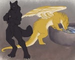 2015 animal_genitalia anthro balls black_body black_fur canid canine canis dragon drinking duo feathered_wings feathers feral fully_sheathed fur genitals looking_back male mammal mythological_creature mythological_scalie mythology sabretoothed_ermine scalie shadow_wolf sheath spihanor tail water wings wolf