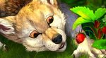 2020 araivis-edelveys black_nose brown_eyes canid canine canis day detailed_background digital_media_(artwork) food fruit grass male mammal open_mouth outside plant semi-anthro solo strawberry teeth tongue wolf