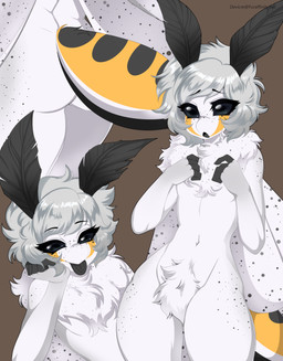 ambiguous_gender antennae_(anatomy) anthro arthropod_abdomen black_body black_skin black_spots butt compound_eyes femboy fingers freckles fur grey_hair hair lying multiple_angles neck_tuft on_back pose pubes shy simple_background small_waist solo spots standing thick_thighs tongue tongue_out tuft white_body white_fur wings devicre lumi_(syntaxblue) arthropod insect lepidopteran moth absurd_res hi_res male_(lore)