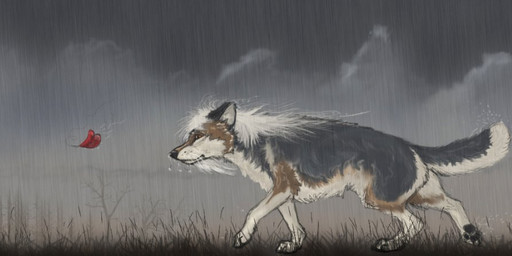 ambiguous_gender cloud feral heart_symbol nature outside pawpads paws raining solo walking wind chasington canid canine canis domestic_dog mammal