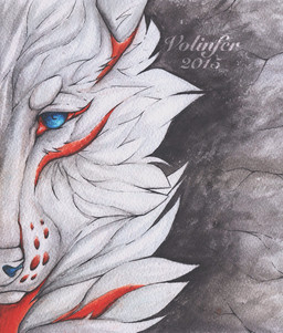 ambiguous_gender blue_eyes feral fur solo white_body white_fur white_nose volinfer canid canine canis mammal wolf 2015 headshot_portrait hi_res portrait traditional_media_(artwork)