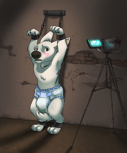 anthro anthrofied blush bound brown_eyes camera chain clean_diaper clothed clothing cuff_(restraint) diaper dungeon fur handcuffs humiliation male metal_cuffs restraints shackles solo tail tail_between_legs wearing_diaper white_body white_diaper white_fur anonymous_artist bolt_(film) disney bolt_(bolt) canid canine canis domestic_dog german_shepherd herding_dog mammal pastoral_dog 2009
