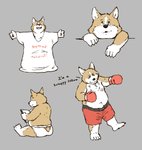 anthro book bottomwear boxing_gloves brown_body brown_fur butt clothing fur handwear male reading shirt shorts simple_background sitting slightly_chubby solo text topwear underwear white_body white_fur professor_fluff canid canine canis domestic_dog herding_dog mammal pastoral_dog welsh_corgi 2020 absurd_res english_text hi_res