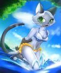 anthro breasts cleavage clothed clothing dutch_angle fangs female fur green_eyes grey_body grey_fur looking_at_viewer navel outside panties sky solo teeth underwear water damn_lasso_tool maeterlinck's_blue_bird tyltyl_and_mytyl's_adventurous_journey shanet domestic_cat felid feline felis mammal siamese