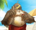 alcohol anthro beach beak beer belly beverage beverage_can big_belly biped black_beak bottomwear brown_body brown_feathers clothed clothing cloud day feather_hands feathered_wings feathers front_view furgonomics gesture green_eyes hand_gesture kemono looking_at_viewer male multicolored_beak multicolored_body multicolored_feathers navel open_beak open_mouth open_smile outside overweight overweight_anthro overweight_male palm_tree plant pointing pointing_up sand seaside shorts sky smile smiling_at_viewer solo standing swimwear tail tail_clothing tail_feathers tongue topless tree two_tone_beak water white_body white_feathers wings yellow_beak cinna-tree accipitrid accipitriform avian bird 2018 hi_res portrait three-quarter_portrait