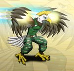 accipitrid accipitriform anthro avian bald_eagle beak belt bird blonde_hair blowup_background bottomwear camo camo_bottomwear camo_clothing camo_pants camo_print capcom clothed clothing eagle feathers feet foot-paws full-length_portrait fully_clothed green_clothing green_topwear guile hair hi_res male monotone_clothing monotone_topwear pants pattern_bottomwear pattern_clothing pattern_pants portrait sea_eagle simple_background solo spread_wings street_fighter tail tail_feathers talons toes topwear white_body white_feathers white_tail wings yellow_beak