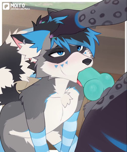 animal_genitalia animal_penis anthro artist balls bodily_fluids canine_genitalia canine_penis cum cum_in_mouth cum_inside duo fellatio femboy genital_fluids genitals male male/male oral penile penis penis_in_mouth sex tongue tongue_out moito canid canine mammal animated hi_res short_playtime video