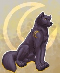 4_toes animal_genitalia balls black_balls black_nose black_pawpads black_sheath claws crescent_moon feet feral fully_sheathed genitals male markings moon outline pawpads sheath sitting solo toes yellow_eyes theneonfox arch_(archwolf) canid canine canis mammal wolf