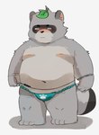 anthro asian_clothing belly black_nose blush clothing east_asian_clothing fundoshi grey_body japanese_clothing kemono leaf male moobs navel nipples overweight overweight_male simple_background solo underwear young tongmung24 canid canine mammal raccoon_dog tanuki 2023 absurd_res hi_res