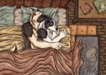 anthro bed bed_sheet bedding book cuddling duo eyewear floor floor_mat furniture glasses male male/male nightstand on_bed pillow sleeping spooning under_covers wood wood_floor kola_(artist) border_collie canid canine canis collie domestic_dog german_shepherd herding_dog mammal pastoral_dog sheepdog traditional_media_(artwork)