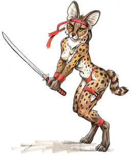 accessory anthro breasts clothed clothing dagger female green_eyes headband holding_melee_weapon holding_object holding_sword holding_weapon katana knife looking_at_viewer markings melee_weapon navel pose ring_(marking) ringed_tail solo striped_markings striped_tail stripes sword tail tail_markings topless weapon megan_giles felid feline mammal serval traditional_media_(artwork)