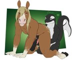 all_fours animal_genitalia animal_penis anthro balls duo equine_genitalia equine_penis erection genitals holding_balls kneeling male male/male nude penis raised_tail smile tail syrios cetacean dolphin equid equine horse mammal marine oceanic_dolphin orca toothed_whale