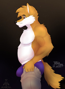 anthro big_bulge bulge clothing fur male multicolored_body multicolored_fur musclegut muscular overweight side_view simple_background solo tail text underwear wardrobe_malfunction whiskers acario juan_atoq atoq_(juanatoq) canid canine culpeo_fox fox mammal south_american_fox 2024 absurd_res artist_name hi_res