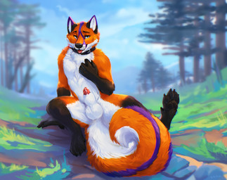 animal_genitalia animal_penis anthro balls black_claws black_collar black_nose black_pawpads blue_eyes bodily_fluids canine_genitalia canine_penis claws collar fur genital_fluids genitals male orange_body orange_fur orange_tail pawpads penis precum sheath solo summer tail tongue tongue_out white_balls white_body white_fur kinsheph canid canine fox mammal hi_res