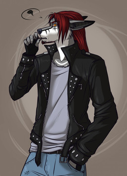 E621 profile picture for @Jacket