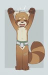 anthro arms_above_head band-aid bandage brown_body brown_fur clothed clothing fur male nipples simple_background solo standing underwear underwear_only white_background young skidoo max_(skidoo) ailurid mammal red_panda hi_res