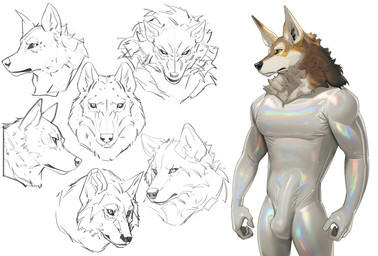 anthro bodysuit brown_body brown_fur bulge clothed clothed_anthro clothed_male clothing detailed_bulge fur genital_outline grey_body grey_fur latex latex_bodysuit latex_clothing latex_skinsuit male multicolored_body multicolored_fur penis_outline skinsuit solo tight_clothing two_tone_body two_tone_fur white_bodysuit white_clothing white_latex white_skinsuit yellow_sclera cxcxxcxxxx canid canine canis mammal wolf 2026 absurd_res hi_res sketch