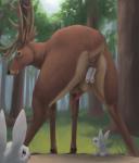 2017 ambiguous_gender anal anal_vore animal_genitalia animal_penis antlers anus backsack balls brown_body brown_eyes brown_fur cervine deer detailed_background difetra digital_media_(artwork) erection feral forest fur genitals grass group hi_res hooves horn lagomorph leporid looking_back low-angle_view male male/ambiguous mammal nature nude outside pawpads paws penis plant presenting rabbit rear_view red_deer size_difference sky spread_legs spreading tail tail_anus tree vore whiskers white_body white_fur