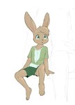 anthro bottomwear clothing green_bottomwear green_clothing green_eyes green_shirt green_shorts green_topwear male shirt shorts sitting solo topwear upshorts kapsu soyuzmultfilm well_just_you_wait! zayats_(wjyw) hare lagomorph leporid mammal hi_res