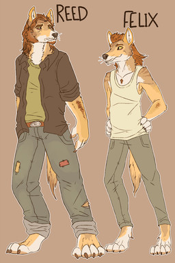anthro arm_hair barefoot beard belt black_claws black_clothing black_nose black_topwear body_hair bottomwear brown_background brown_beard brown_belt brown_body brown_claws brown_eyebrows brown_facial_hair brown_fur brown_hair claws clothing denim denim_bottomwear denim_clothing duo eyebrows facial_hair feet front_view fur glistening glistening_nose goatee green_clothing green_topwear hair inner_ear_fluff jeans male multicolored_body multicolored_fur narrowed_eyes orange_hair pants simple_background standing striped_shoulders tan_body tan_fur topwear tuft unsigned white_body white_fur white_inner_ear white_inner_ear_fluff swampjaws felix_(imperatorcaesar) reed_(imperatorcaesar) canid canine canis coyote mammal 2:3 hi_res