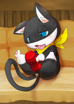 anal anal_masturbation anal_penetration anthro autopenetration black_body black_fur blue_eyes blush bodily_fluids fur genitals kerchief male markings mask masturbation pawpads paws penetrable_sex_toy penetration sex_toy solo spread_legs spreading sweat tail tail_fetish tail_in_ass tail_in_own_ass tail_insertion tail_markings tail_masturbation tail_play tongue tongue_out white_body white_fur rodemaru atlus megami_tensei persona_(series) persona_5 sega morgana_(persona) domestic_cat felid feline felis mammal tuxedo_cat hi_res