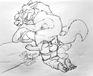 anthro balls_deep duo female feral knot knotting male male/female outside penetration vaginal vaginal_penetration shiashnaky mythology canid canine canis hybrid mammal mythological_canine mythological_creature procyonid raccoon werecanid werecanine werecreature werewolf wolf hi_res